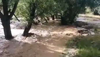 Mersin'de Aniden Bastıran Yağmur, Sele Yol Açtı!