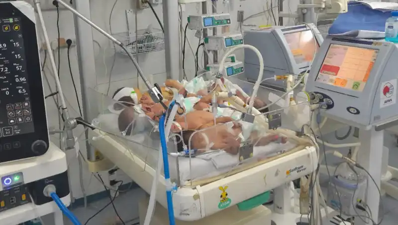 Gazzeli Doktorların Çaresizliği: Milyonlarca Bebek Aynı Kuvözde Hayatta Kalma Mücadelesi Veriyor