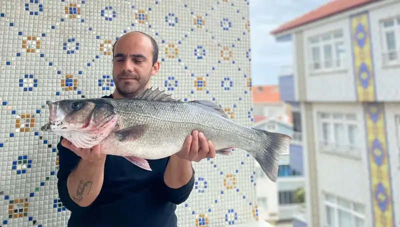 7,5 Kiloluk Dev Levrek: Balıkçıların Hayalini Gerçekleştiren An