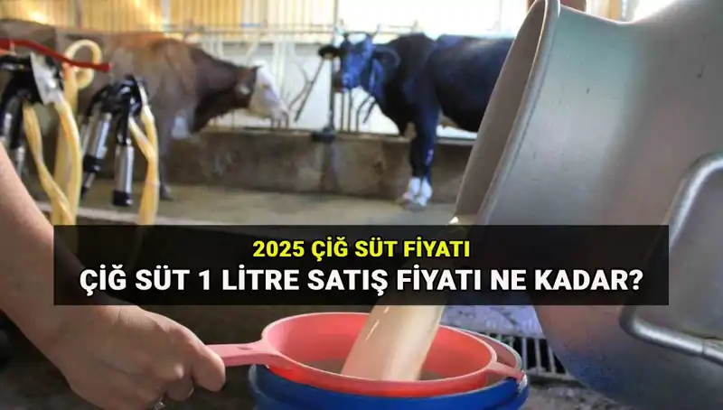 Çiğ Süt Fiyatları 2025: Ulusal Süt Konseyi'nden Son Gelişmeler Neler?