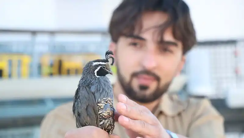 ABD'den Sipariş Alan Üniversiteli Genç: İhracat Başarısının Sırrı Nedir?