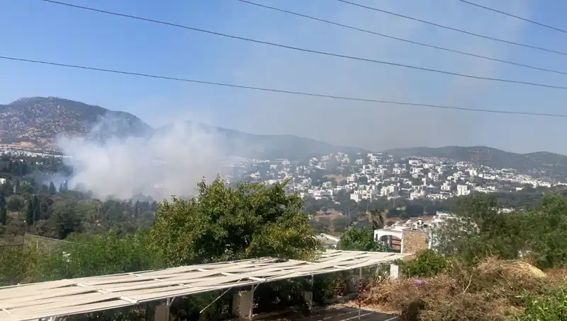 Muğla Orman Yangınları Kontrol Altına Alındı: Son Durum ve Detaylar