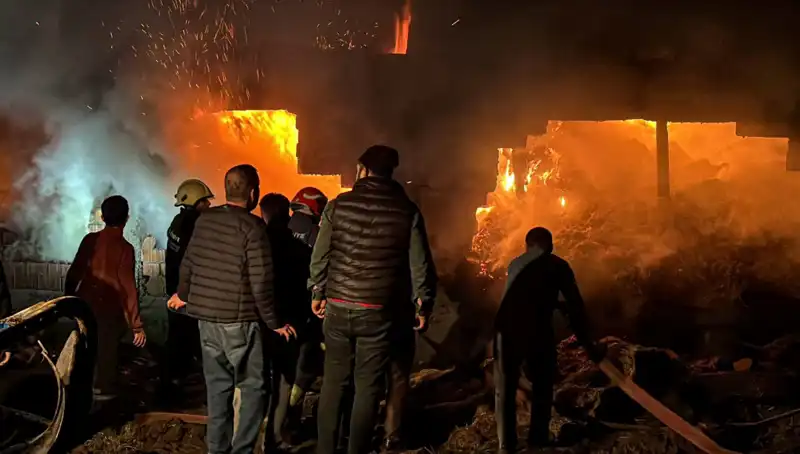 Bolu'da Korkutan Ahır Yangını: Hayvanlar Feci Şekilde Zarar Gördü