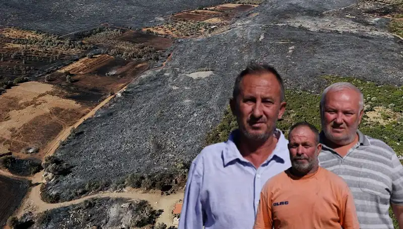 Çeşme Orman Yangını: Yerleşim Alanlarına Sıçrayan Facia ve Akıl Durduran Bilanço