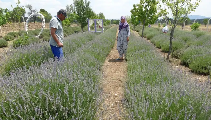 Hobi Olarak Başladılar, Şimdi Geçim Kaynağı Oldular: Başarı Hikayeleri