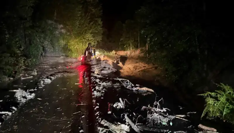 Rize'de Şiddetli Yağışlar: Sel ve Heyelanlar Hayatı Felç Etti