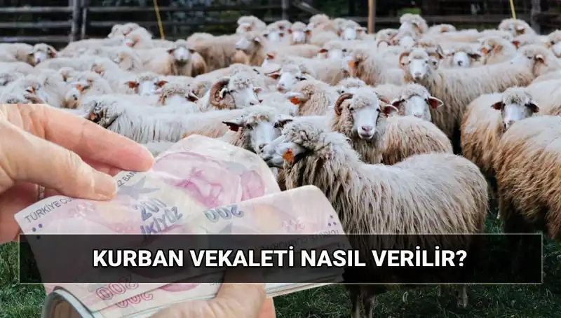 Vekaletle Kurban Kesimi: Diyanet'in Yeni Düzenlemeleri ve Ücret Bilgileri