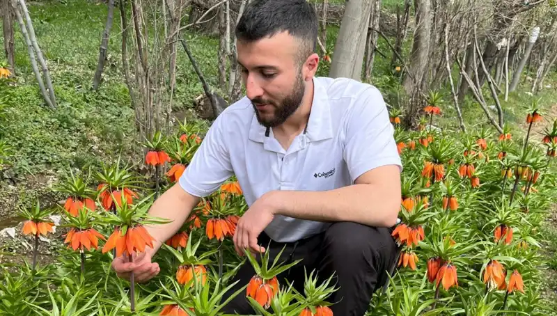 "Ağlayan Gelin" Çiçeği: 20 Günlük Hayata Sahip Olmanın Bedeli