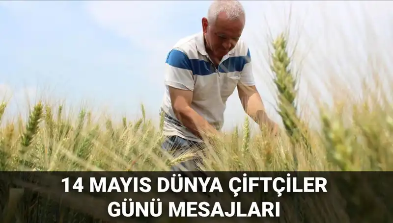 Dünya Çiftçiler Günü: 2025 İçin En Anlamlı Mesajlar ve Düşünceler