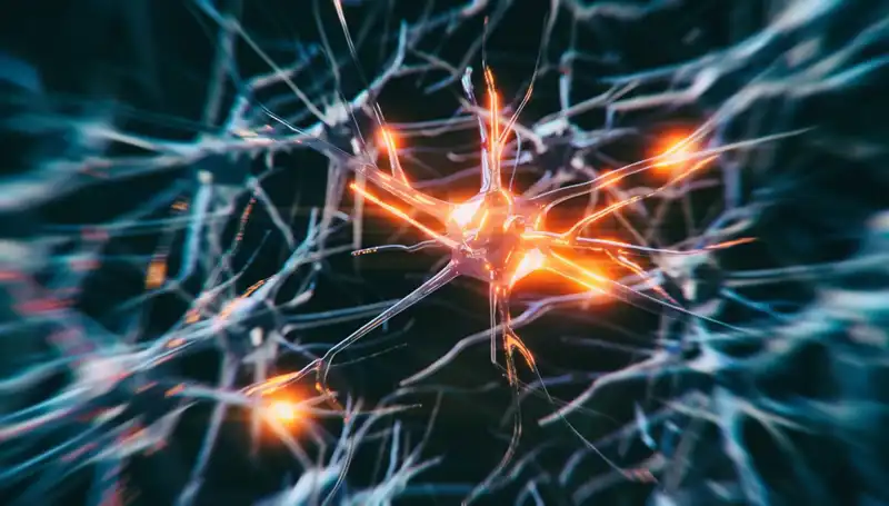 Alzheimer Vakalarının Artışı: Nedenleri, Etkileri ve Çözüm Önerileri