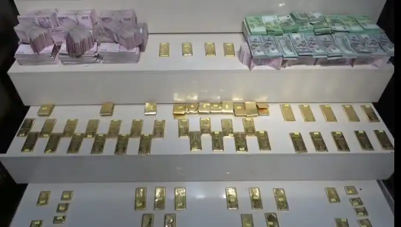 Van Havalimanı'nda Mozambik'ten Gelen Yükte Kaçak Altın ve Para Ele Geçirildi