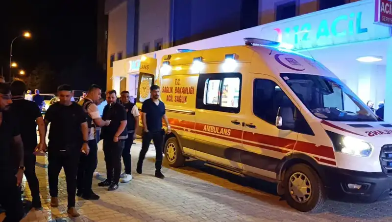 Kardeşler Arasında Çıkan Kavga: Trajik Son!