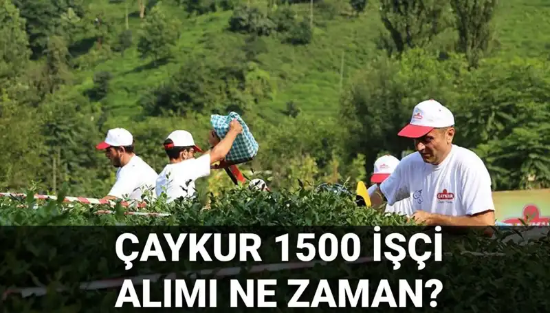 Çaykur İşçi Alımı 2023: Başvuru Tarihleri ve Süreçle İlgili Tüm Detaylar