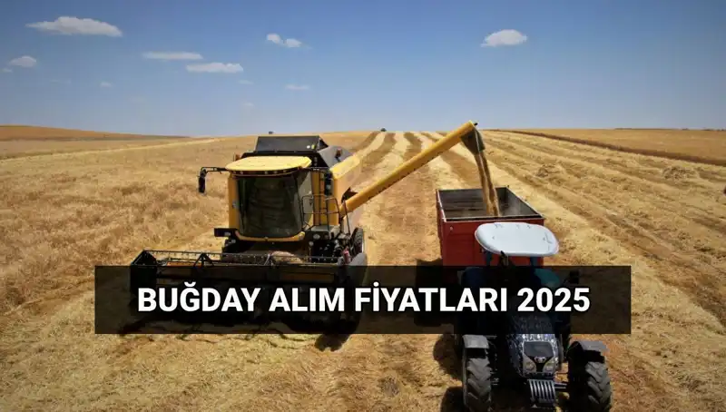 Hububat Alım Ücretleri Yatacak mı? 2025 Fiyatları Neler Olacak?