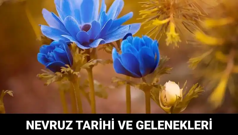 Nevruz Bayramı 2024: Gelenekler ve Kutlama Tarihleri Hakkında Bilgi