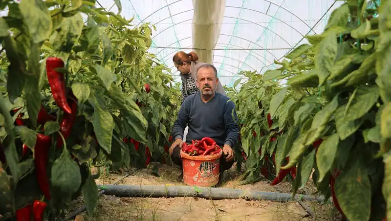 Fiyat Filosu: 50 TL Olan Ürün Şimdi 80 TL, Yüzde 50 Artış!