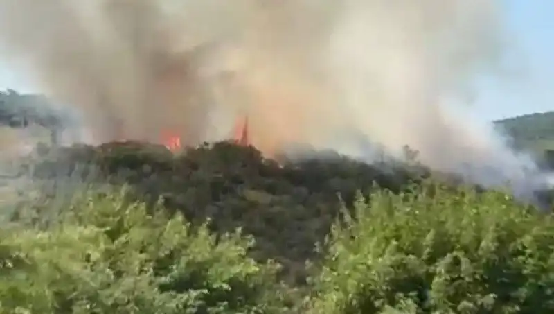 İstanbul'da Korkutan Orman Yangını: Vatandaşlar Hızla Tahliye Edildi
