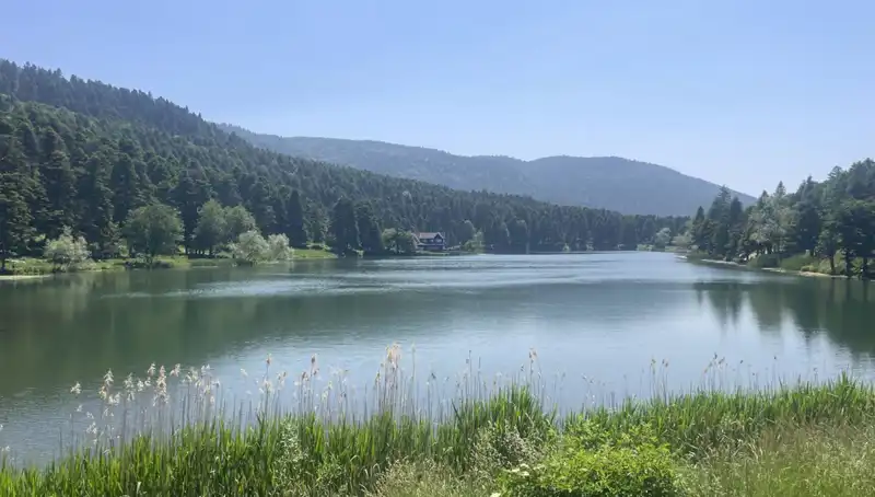 Bolu'nun Milli Parkları Yaz Ayında Ziyaretçi Rekoru Kırdı