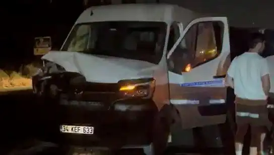 İstanbul’da Manda Kazası: Üç Kişi Yaralandı, Hayvanın Saldırısı Panik Yarattı