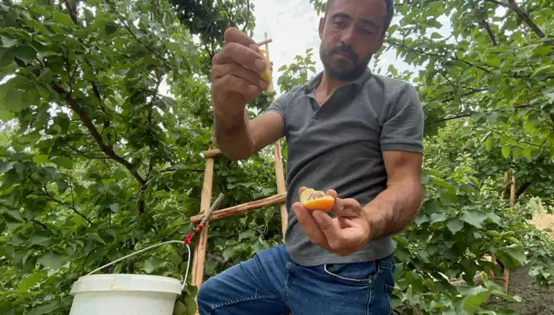 Damak Çatlatan Lezzet: 50 TL ile 70 TL Arasında Ulaşabileceğiniz Yeni Lezzetler