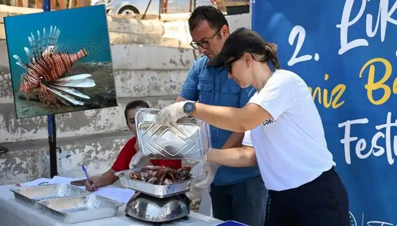 Antalya'da Aslan Balığı Avlama Yarışması: Denizleri Koruma Mücadelesi