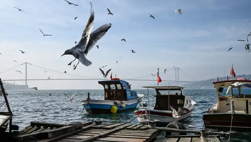 İstanbul'da Bahar Havası Geliyor! Tarih Belli Oldu