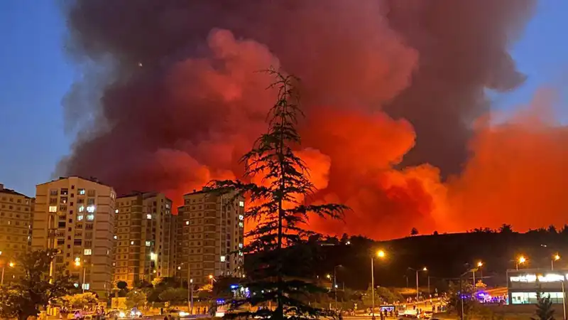 Bursa'daki Yangınlar Şehri Tehdit Ediyor: Son Durum Ne?