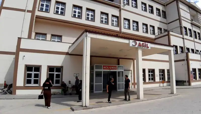 Bolu’da Ayı Avı Tartışmaları Tırmanıyor: Avcılar ve Doğa Severler Karşı Karşıya