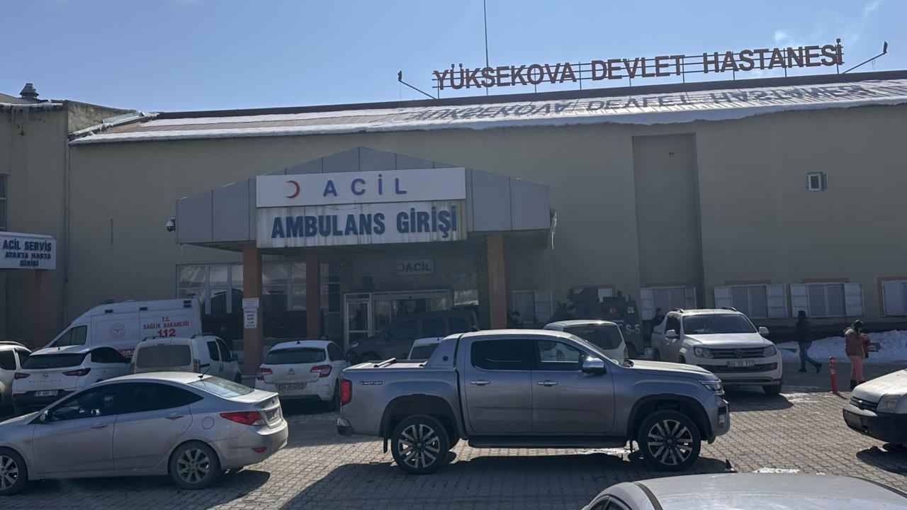 Hakkari'de Başıboş Köpeklerin Saldırısına Kurban Giden Çocuk