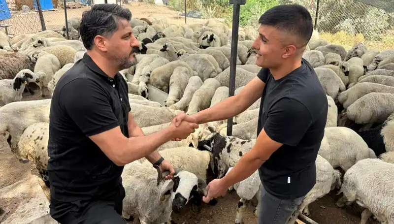 Kurbanlık Alırken Dikkat! Tuz ve Sumak Kullanımı Hakkında Bilmeniz Gerekenler