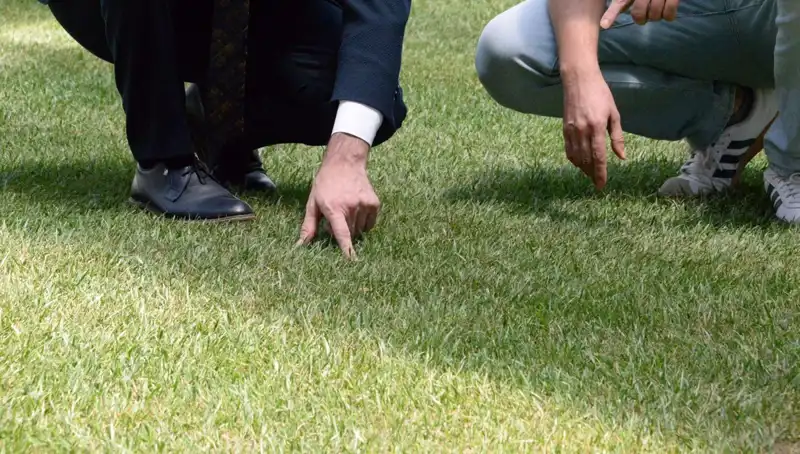 Tartışmalı Stadyum Zemini İçin Geri Sayım: 10 Gün İçinde Hazır Olacak!