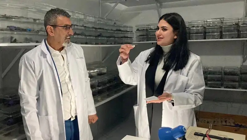 Akreplerin Gizemli Dünyası: Zehiri Şekere Damlatıp Tüketiyorlar!
