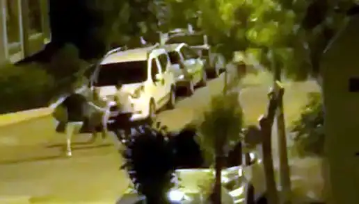 Avcılar’da 3 Kişinin Saldırdığı Vatandaş Kurtarıldı: Olayın Detayları