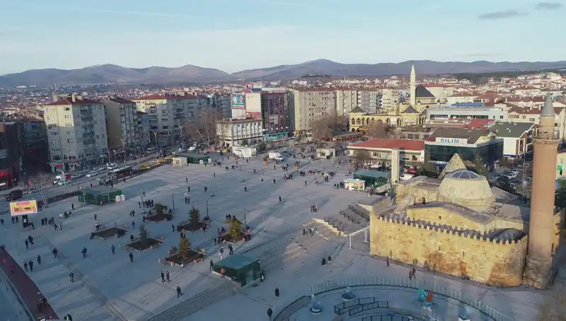 Kırşehir’de Bilim Dünyasını Heyecanlandıran Yeni Böcek Türü Keşfi