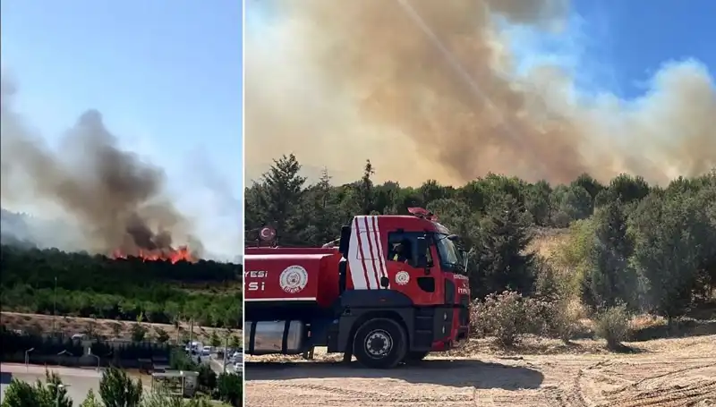 Gebze'de Yangın Korkusu: Ormanlık Alan Alev Alev Yandı