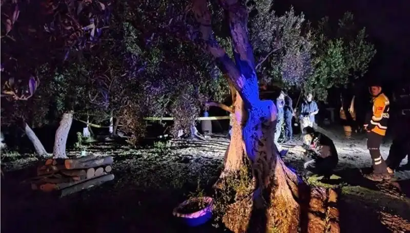 Çiftlikte Baltalı Vahşet: Şok Edici Tutuklama Gerçekleşti