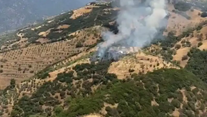 Aydın'da Zeytinlik Yangını: Tarım Alanları Kayıplara Uğradı