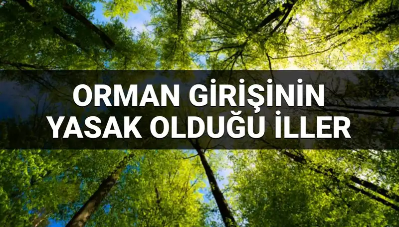 2025'te Ağaçların Korunması İçin Ormana Girişi Yasaklanan İller Açıklandı
