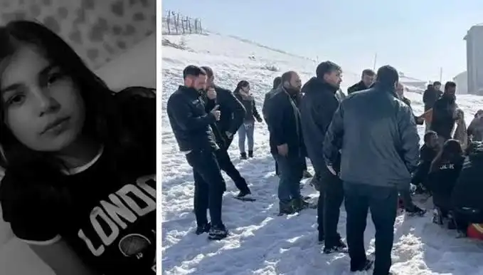 Yüksekova'da Köpek Saldırısında Hayatını Kaybeden Eslem'in Ölümü ve Soruşturma Süreci**