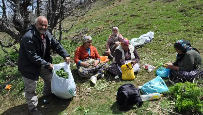 Yüzlerce Aile İçin Geçim Kaynağı: 5 Saat Yürüyerek Topladıkları Kilo 250 Lira!