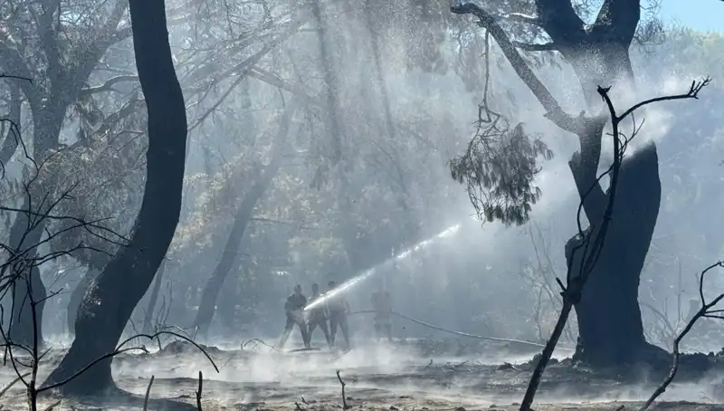 Çanakkale, Antalya ve Hatay'daki Yangınlar Sonunda Kontrol Altına Alındı!