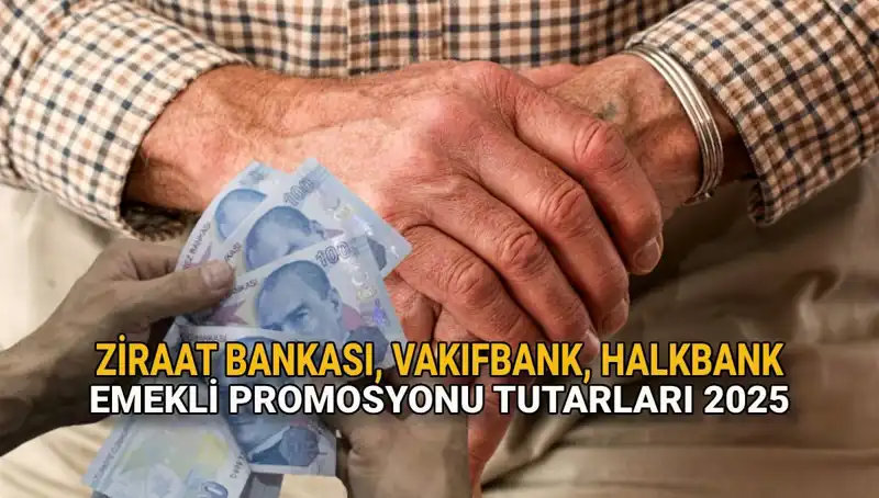 2025'te Emeklilere Özel Promosyon Fırsatları: Ziraat, Vakıfbank ve Halkbank