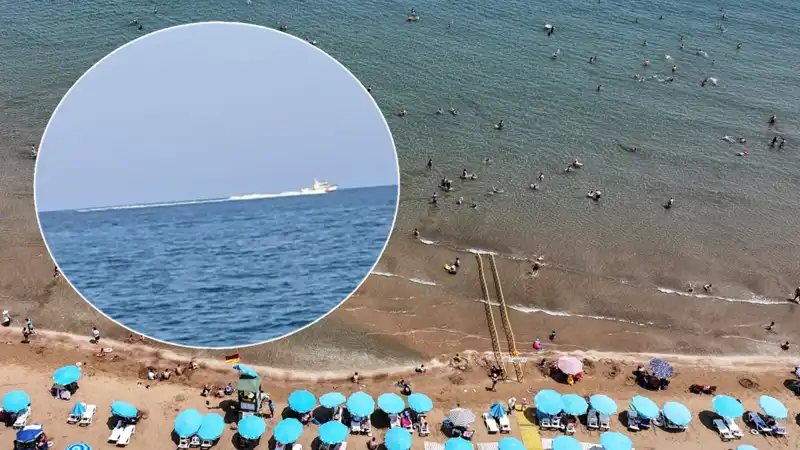 Plajda Köpek Balığı Korkusu: Güvenlik Güçleri Harekete Geçti, Gerçekler Şaşırttı