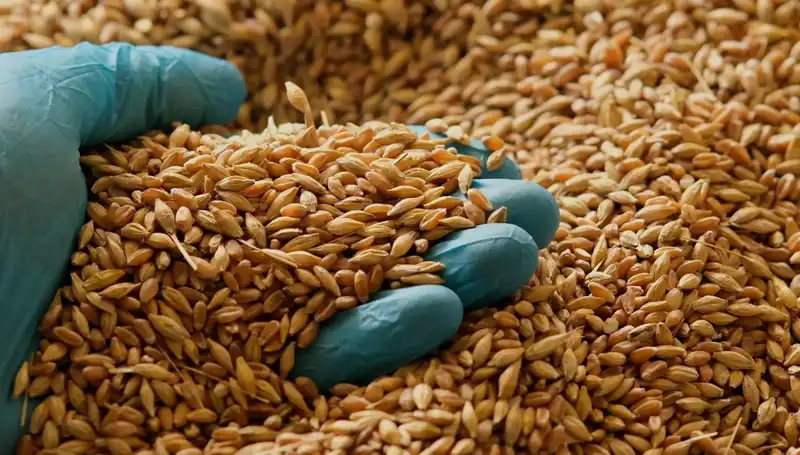 Kalp Hastalığı Riskini Azaltan Beslenme Alışkanlıkları Neler? Uzmanlar Açıkladı!