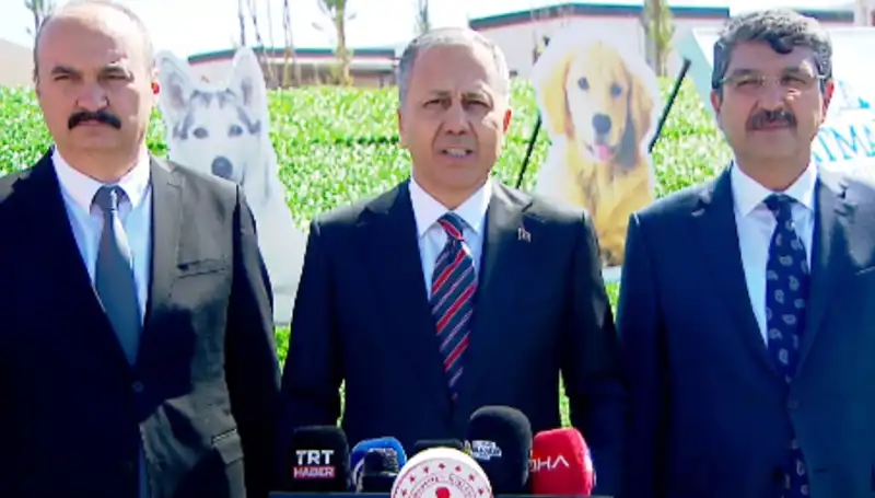 Türkiye’nin Sokak Köpekleri Sorunu: İçişleri Bakanlığı 81 İle Müfettiş Gönderdi