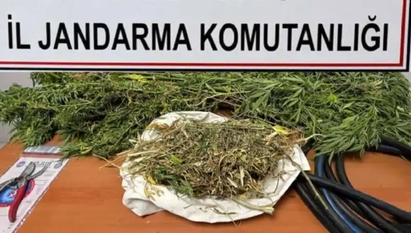 Niğde'de Sokakları Saran Uyuşturucu Ticareti Operasyonu Kapsamlı Bir Şekilde Kırıldı