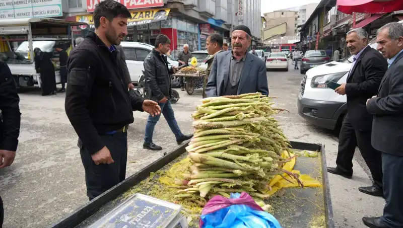Dağlardan Gelen Şeker: Kanser ve Mide Hastalıklarına Doğal Çözüm Mü?