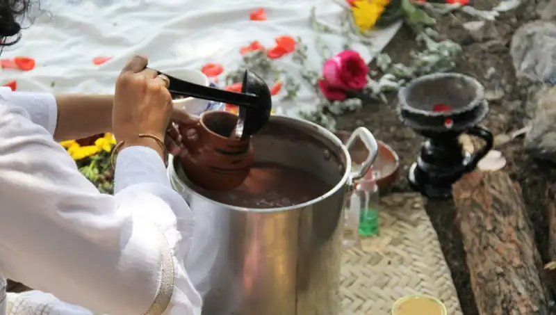 Ayahuasca: Ruhsal Keşif mi, Tehlikeli Bir İlaç mı?