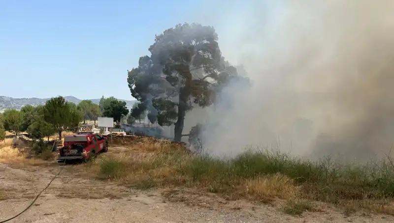 Muğla’da Göz Kamaştıran Yangın Mücadeleleri: Ormanlarımızı Kurtarmak İçin Bir Araya Gelindi