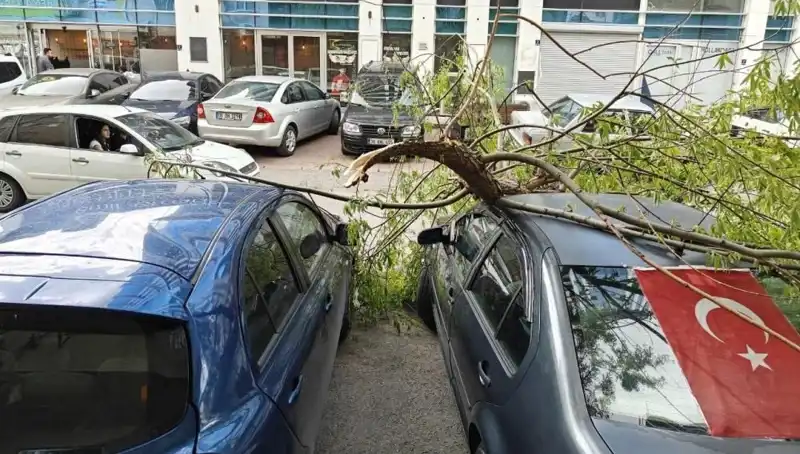 Kayseri'yi Vuran Fırtına: Dallar Kırıldı, Hayat Durma Noktasına Geldi